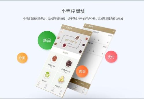 微信商城小程序上線后，如何運用技術手段高效推廣產品